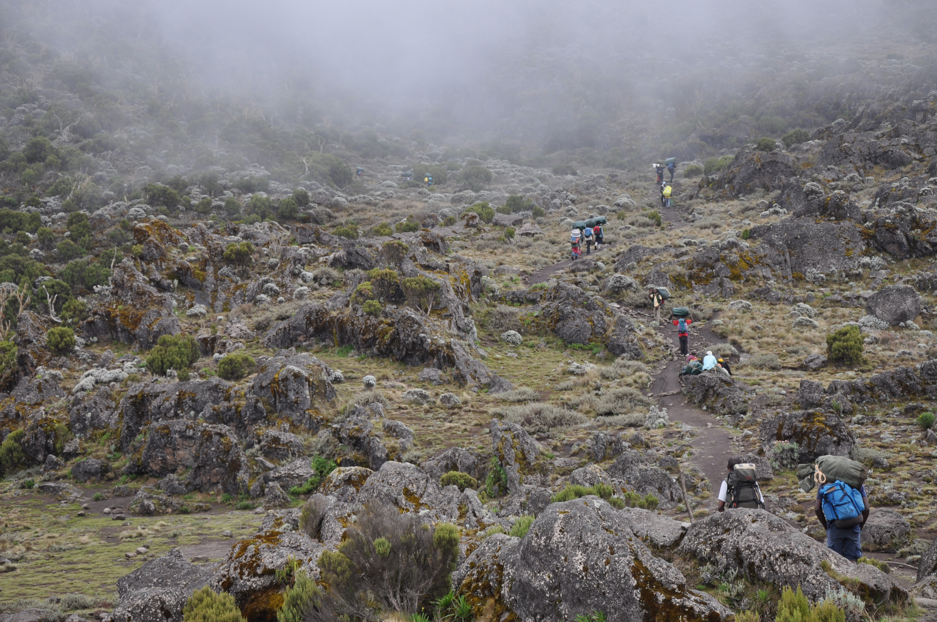 Machame Camp to Shira Camp - Day 2 of Machame Route